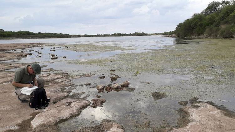 Santiago del Estero: asombro por el hallazgo de restos fósiles de perezoso gigante