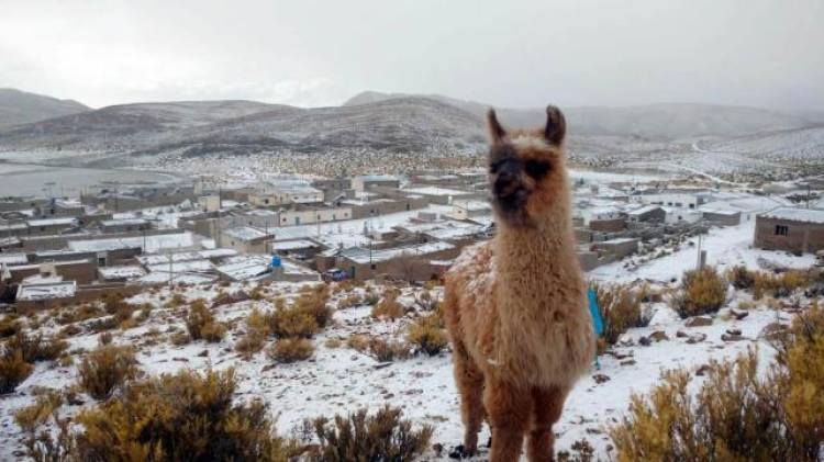 Nieve de verano en Jujuy