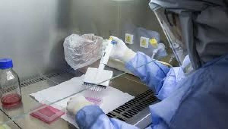 Científicos del Conicet descubren un método diagnóstico de cáncer de mama sirve en otros tipos