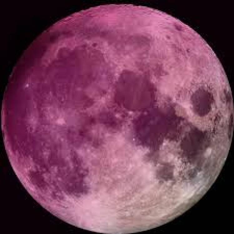 El lunes 26 se podrá ver la Super Luna Rosa
