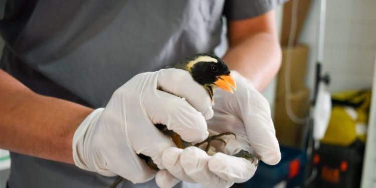 El Parque de la Biodiversidad ya es un centro de rescate