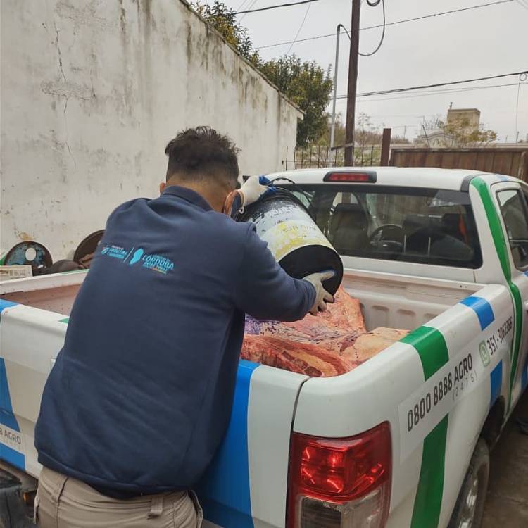Más de 800 kilos de carne fueron decomisados este viernes en varias carnicerías de Colonia Caroya