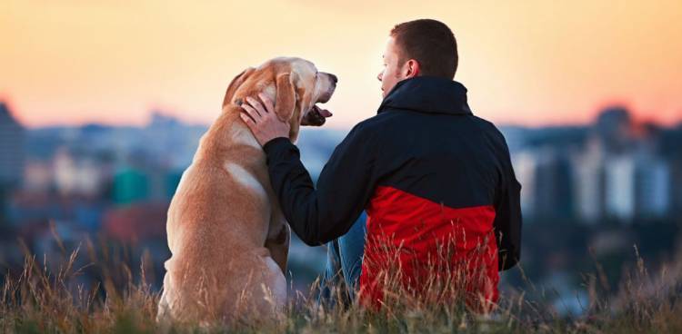 Empleados que adopten una mascota podrán tener licencia paga