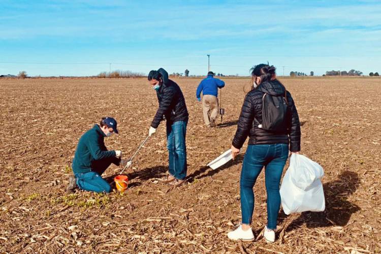 Promueven la utilización de residuos pecuarios como biofertilizantes