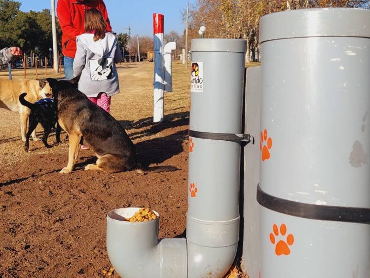 Parque Canino en Jesús María: Original propuesta para disfrutar con tu mascota