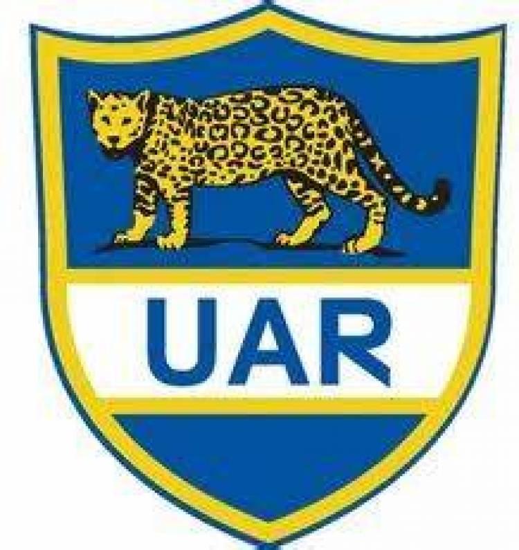 Test Match ante Gales: Pumas casi leones