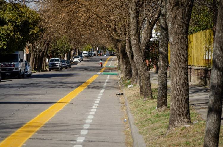 Gran avance de la primera ciclovía urbana 