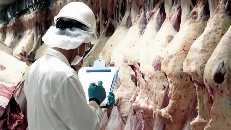 Exportación de carne: El Gobierno reestablece precios de referencia