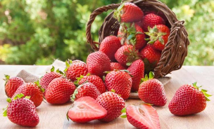 Frutillas: la gran elegida que esconde importantes beneficios