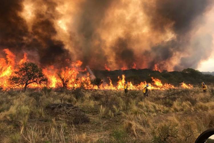En el norte provincial, los incendios no dan tregua