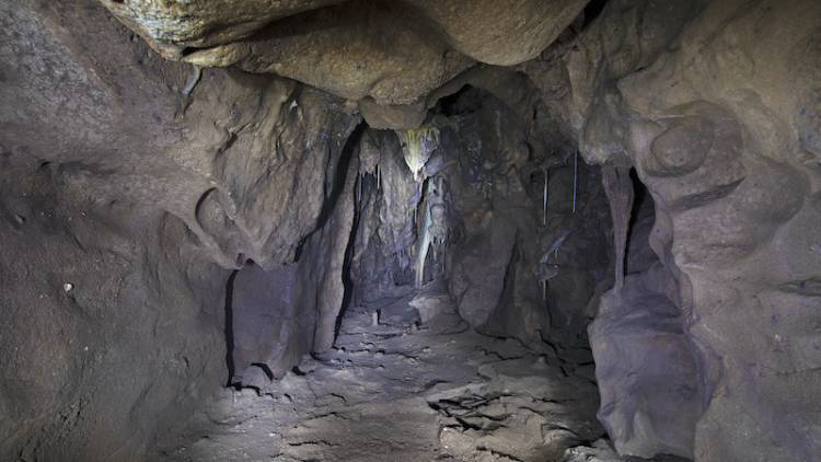 Descubrieron la cueva donde se refugiaron los últimos neandertales