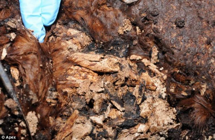 Un sitio arqueológico que el director de cine Cameron confundió con la Atlántida