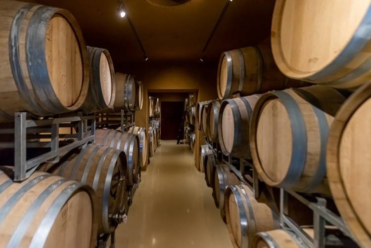 Turismo enológico: 23 bodegas para descubrir los sabores del vino