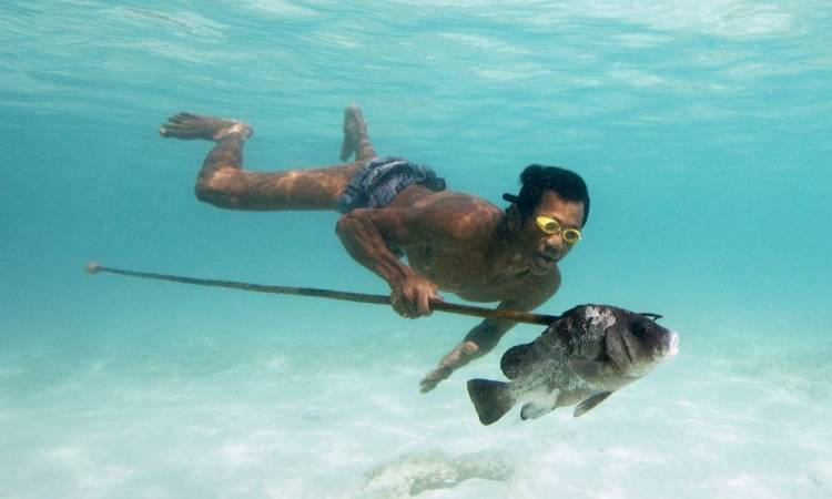 Los Bajau, la tribu que soporta alrededor de trece minutos sosteniendo la respiración bajo el agua