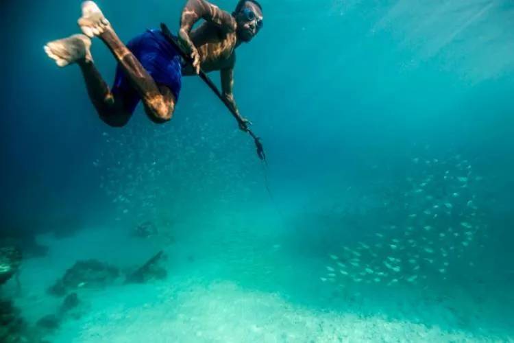 Los Bajau, la tribu que soporta alrededor de trece minutos sosteniendo la respiración bajo el agua