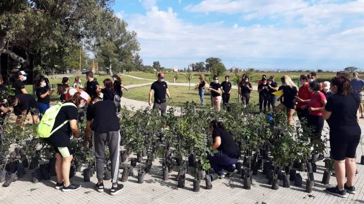 “Forestando Córdoba”: En San Francisco ya se plantaron más de 2000 árboles