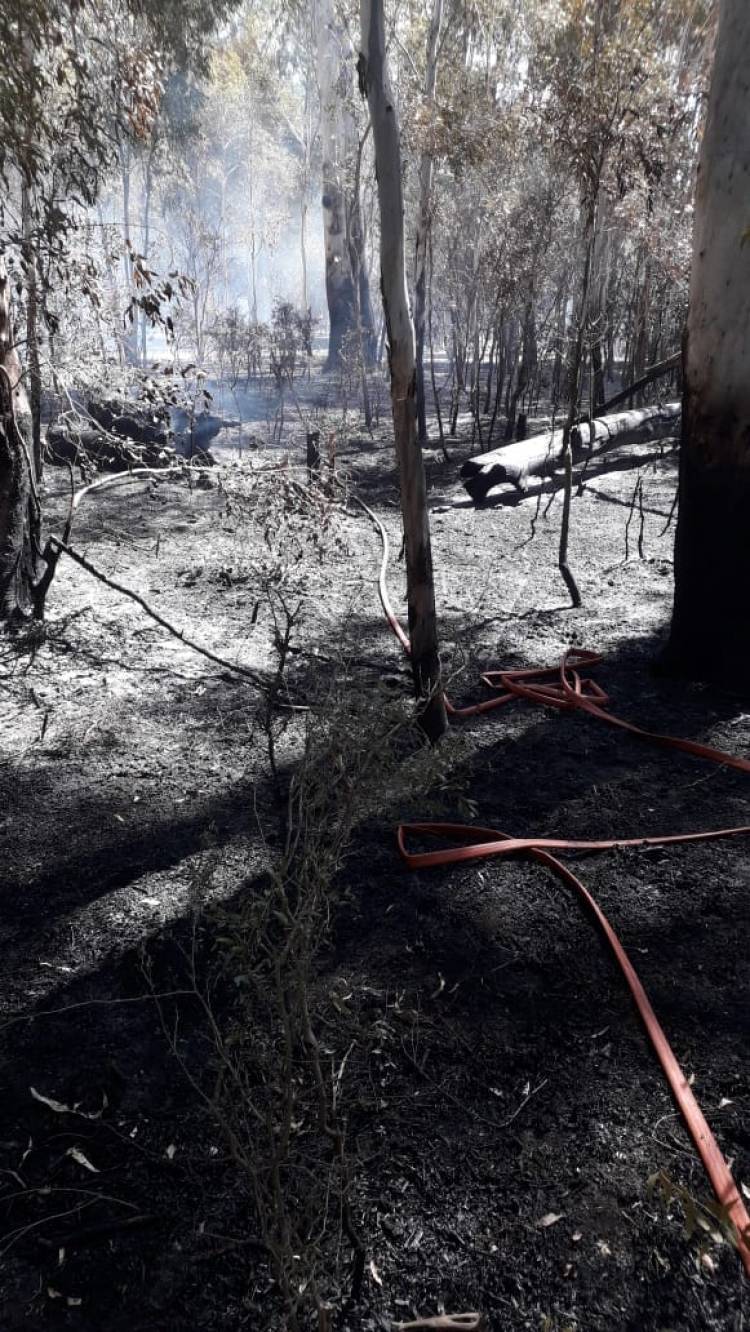 Sampacho: Incendio en el Predio de la Laguna de Suco