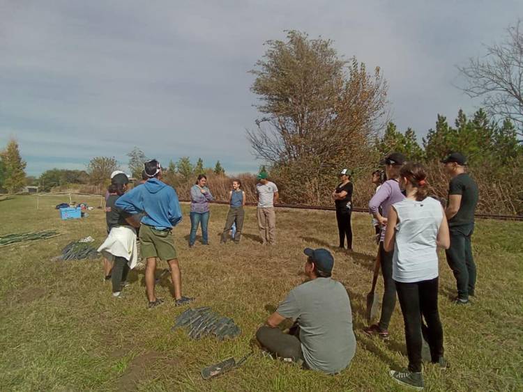En Estación General Paz, plantaron dos mil algarrobos