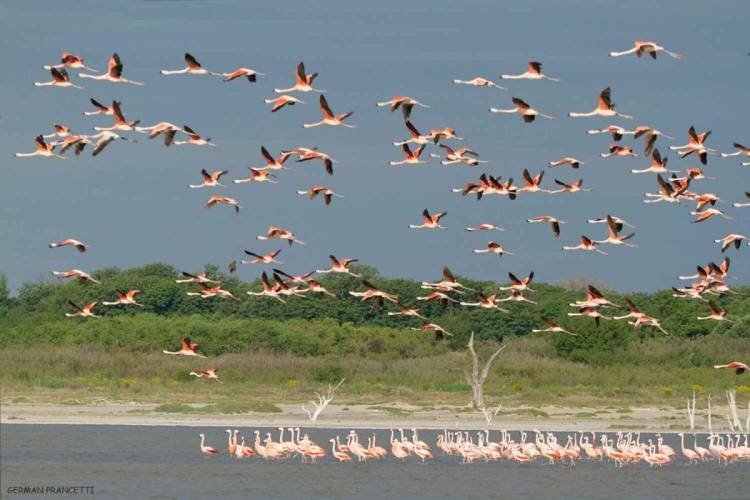 Gran paso para que el Parque Nacional Ansenuza sea una realidad