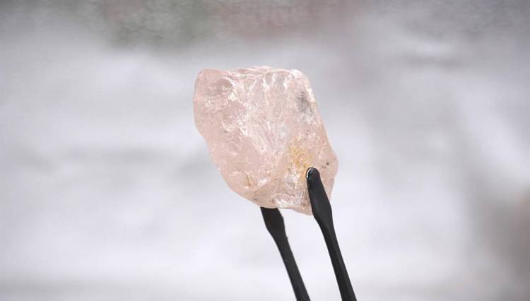 En Angola, descubrieron el diamante rosa más grande de los últimos 300 años