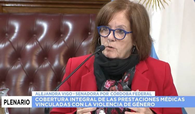 Alejandra Vigo presentó proyecto que busca que la violencia de género sea atendida por las obras sociales