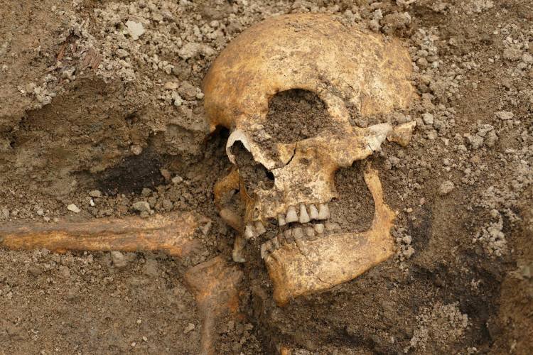 Navío sueco encontrado en un parque de Estocolmo