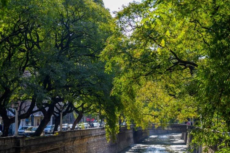 CAÑADA de las TIPAS : número uno del mundo