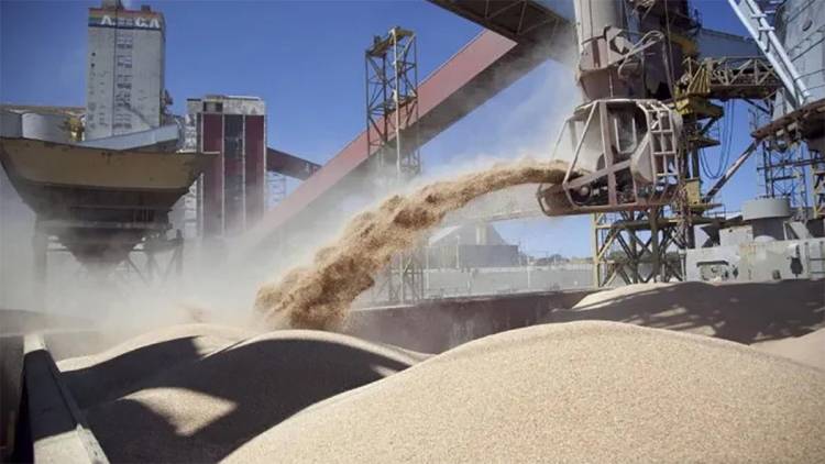 Más de 1,7 millones de toneladas de granos se lograron vender con el nuevo  "dólar soja"