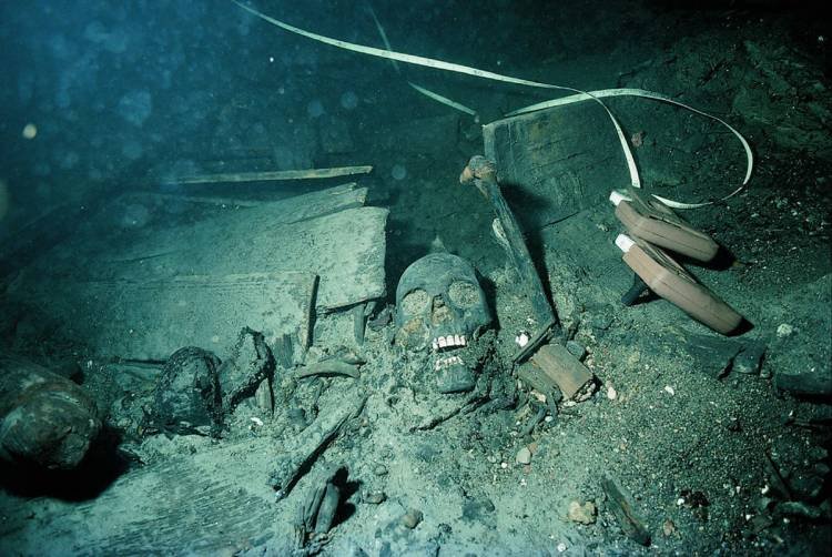 Los vikingos en actuales descubrimientos científicos