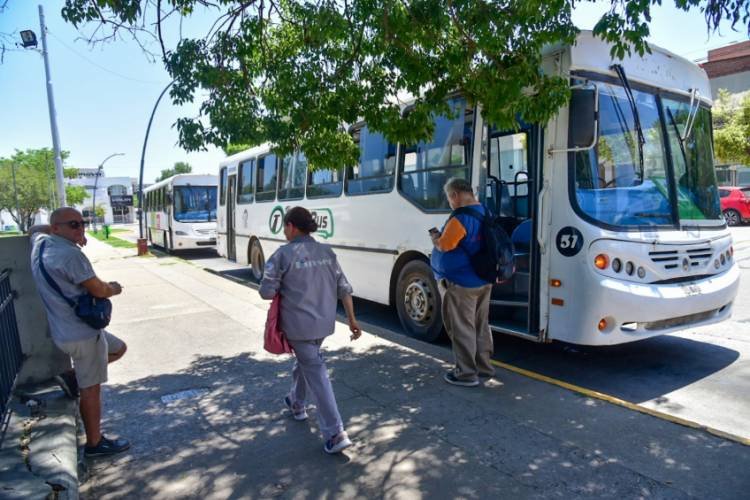 A partir de esta semana, funcionan 12 líneas de transporte público urbano con mayores frecuencias