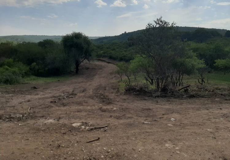 Caminata de vecinos de La Falda para pedir la reforestación de la Reserva El Puma
