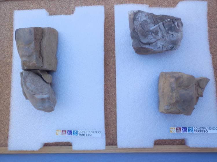 Descubrimiento arqueológico presentado hoy en España