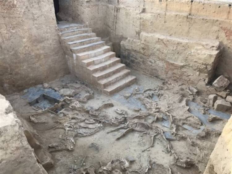 Descubrimiento arqueológico presentado hoy en España