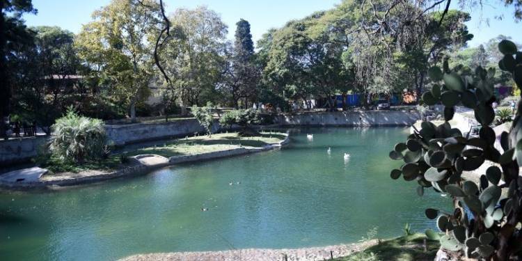 La fauna de Córdoba Capital busca refugio en la laguna del Parque de la Biodiversidad 