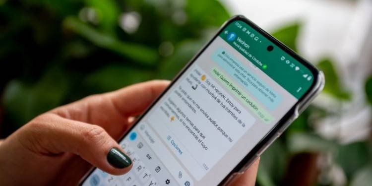 Más de 14 mil consultas ya fueron atendidas por el whatsapp de la Municipalidad