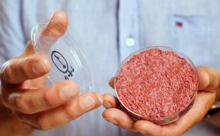 Empresas de carne cultivada ya están introduciendo sus productos en los Países Bajos 