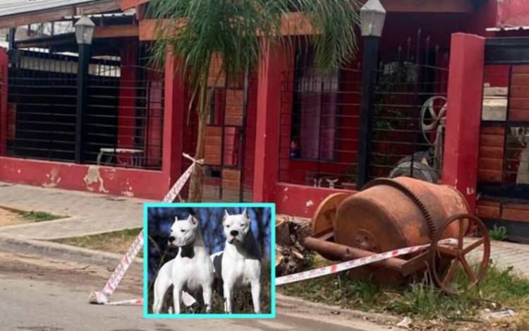 Otra muerte por la irresponsabilidad de tener perros sin saber cómo criarlos