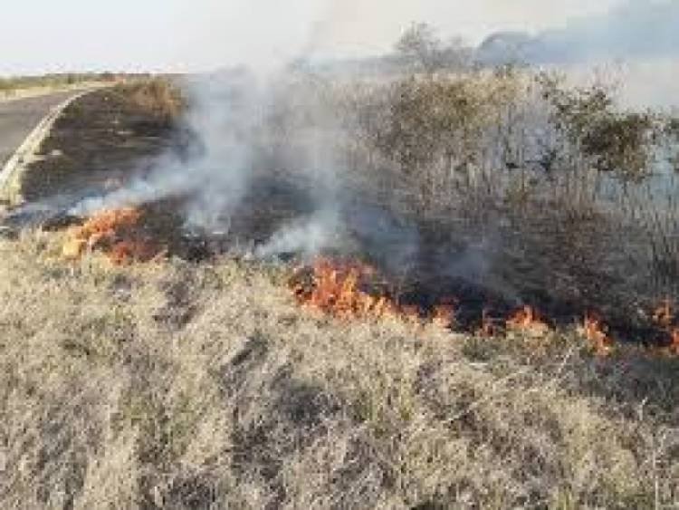 Incendios en Córdoba