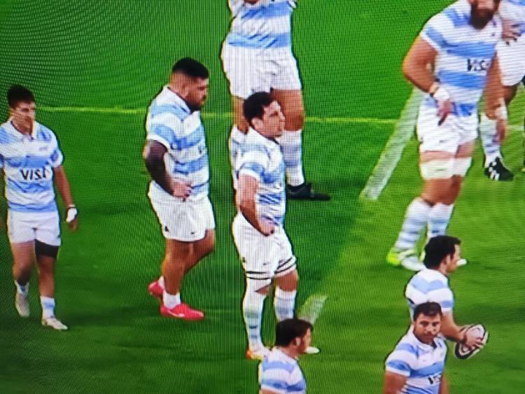Rugby: Último ensayo Puma con goleada incluida
