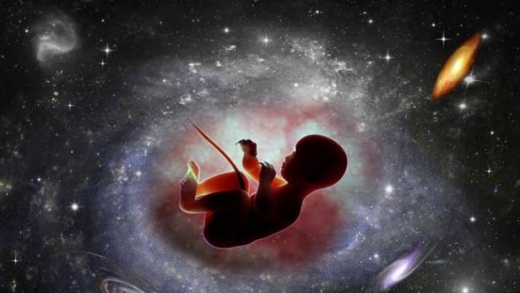 Los científicos se apresuran a concebir el primer bebé en el espacio. Este es el por qué