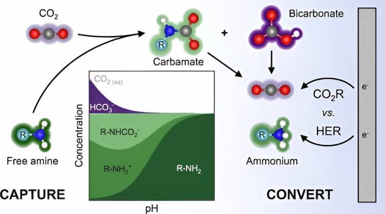 Un estudio sugiere una ruta energéticamente eficiente para capturar y convertir CO2
