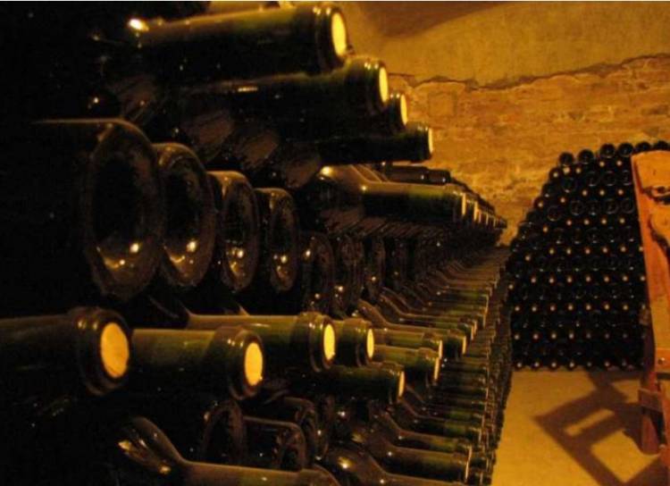 Por qué se duplicó la cantidad de bodegas dedicadas al "turismo del vino" y qué apoyo les da el Gobierno