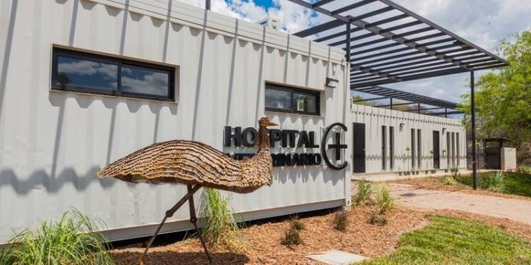 Los animales de la Provincia tendrán su Centro de Salud Público 