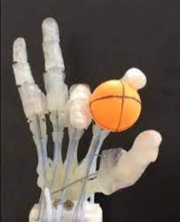 Robots impresos con huesos, ligamentos y tendones