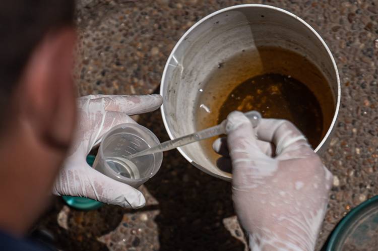 Dengue en Córdoba Capital:Datos alarmantes en el primer monitoreo aédico de la temporada