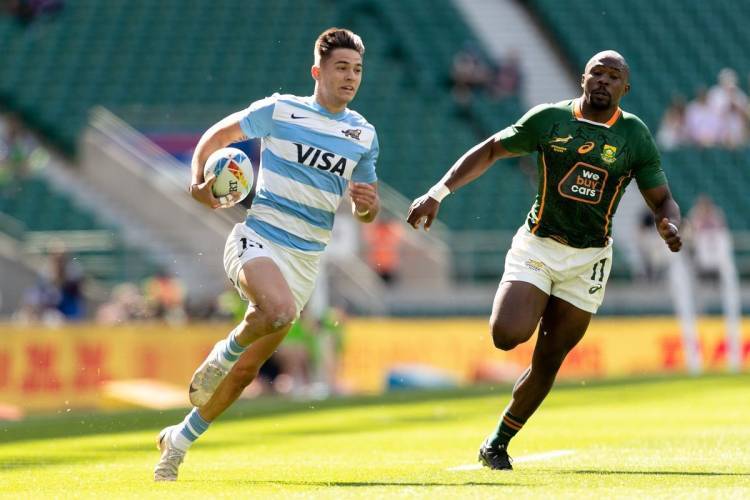 PUMAS SEVEN PARA EL 2024