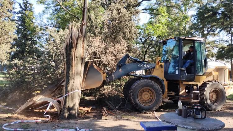 Tras el temporal del 24 a la noche, el Municipio se puso en acción para reacondicionar distintos puntos de la ciudad
