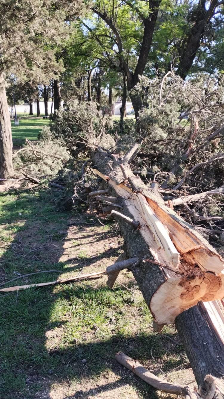 Tras el temporal del 24 a la noche, el Municipio se puso en acción para reacondicionar distintos puntos de la ciudad