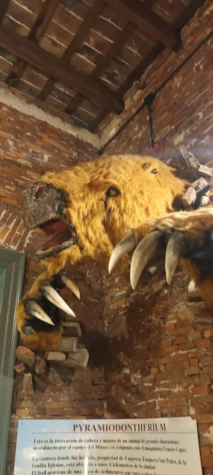 Para los cordobeses que deseen visitar San Pedro y las muestras de su pasado