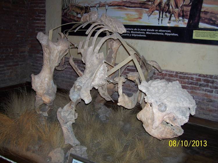Para los cordobeses que deseen visitar San Pedro y las muestras de su pasado
